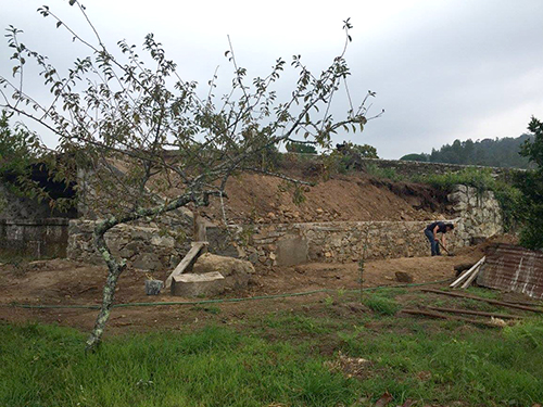 Arranjo Paisagstico de Quinta Rural